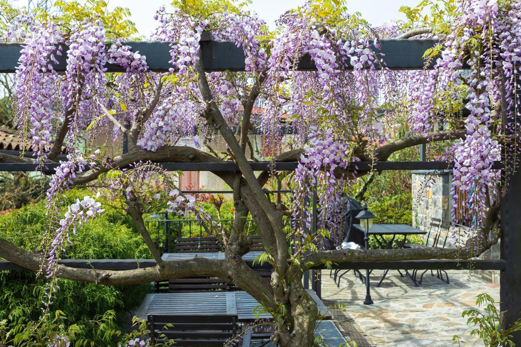 Maison d'hôtes Valentincic Nova Gorica